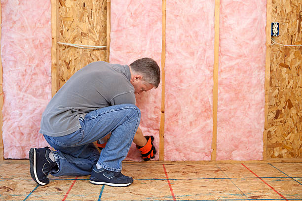 Best Residential Insulation in Perryville, MD