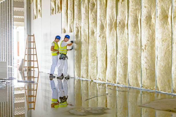 Best Spray Foam Insulation in Perryville, MD